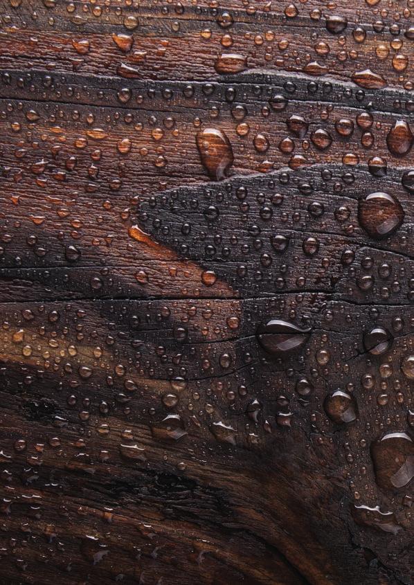 Essendo un materiale poroso, il legno per sua natura assorbe ed espelle continuamente umidità per mantenere uno stato