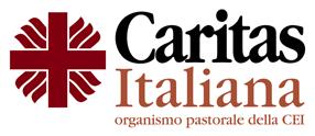 del 28 gennaio 2011 Manuale Per corrette prassi operative Per le organizzazioni caritative CARITAS ITALIANA FONDAZIONE