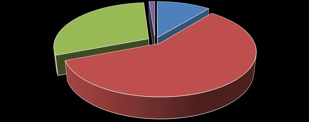 Percentuali candidati alla carica di