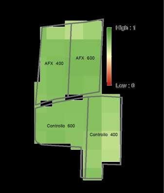 NDVI - Cassettari 26 NDVI -