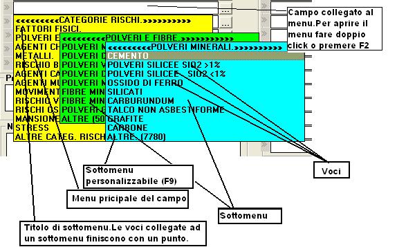 APPENDICE I menu di Winasped Fig. 19 le varie parti del menu a cascata Molti campi di inserimento di Winasped sono collegati ad un menu a cascata come si vede nella fig. 19.Tali campi sono contraddistinti dalla presenza di una o due freccette sul lato sinistro del campo.