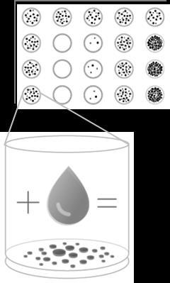 microscopio o mediante lettori di micropiastre 1