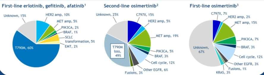 NSCLC EGFR mutato: mecc di resistenza MET