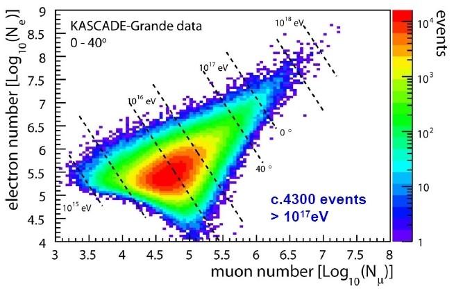 .Base per l analisi a KASCADE-Grande di spettro e composizione.