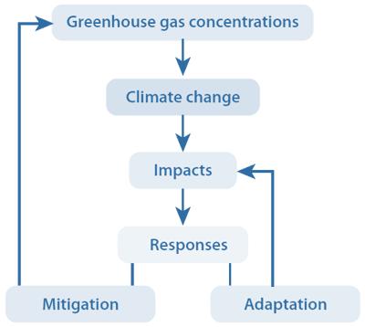 ADAPT Obiettivo 5 del Programma Interreg (promuovere l adattamento ai cambiamenti climatici, la