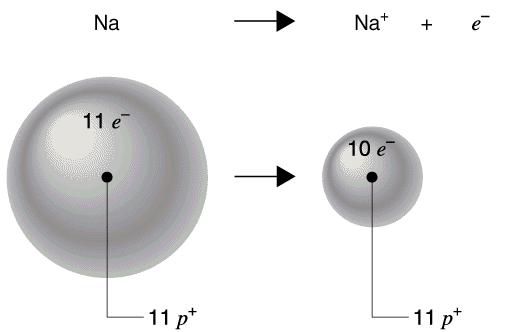 Raggio atomico e ionico Cationi: ioni positivi generati da atomi