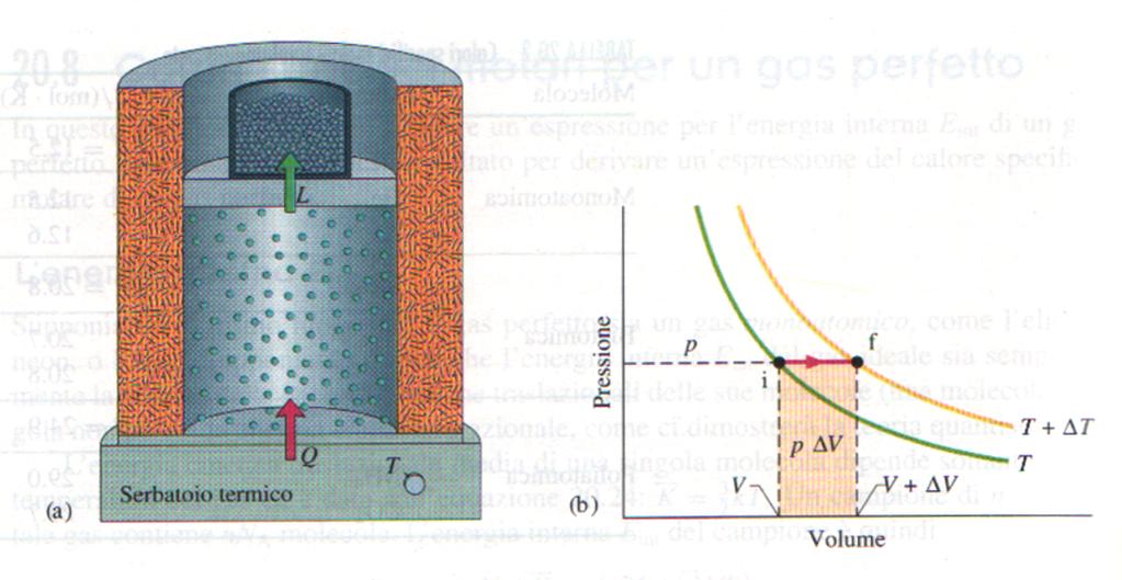 Calore specifico a pressione costante Supponiamo ora di fornire calore al solito sistema, mantenendo costante la pressione e lasciando variare il volume: Q = n c p ΔT.