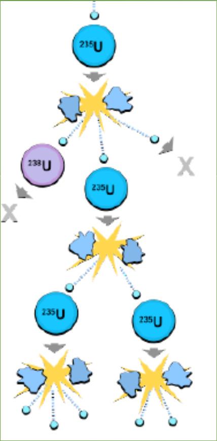 Reazione a catena Szilard, Fermi (anni 30): La fissione indotta da neutroni puo innescare una reazione a catena Moltiplicazione del n.