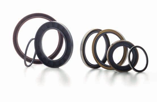 rotary seals Guarnizioni in