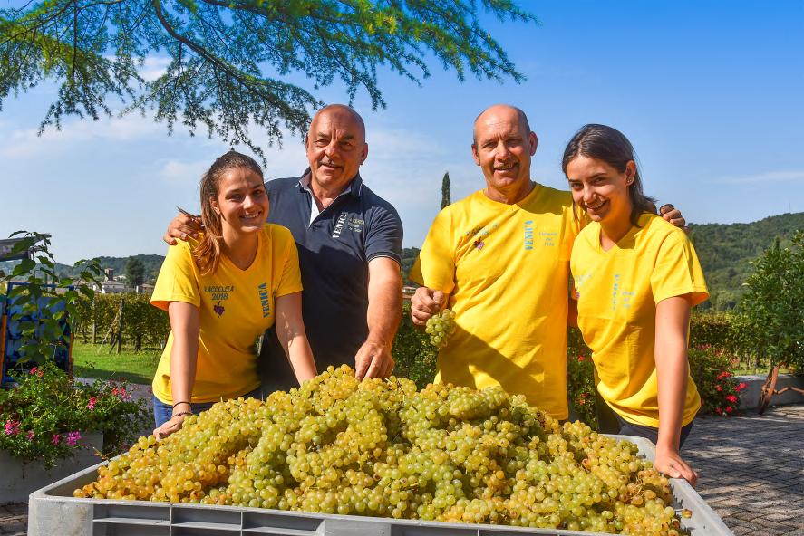 Il 60% del mosto fermenta e affina sui lievi per 5 mesi in delle lune piene tra fine marzo e maggio.