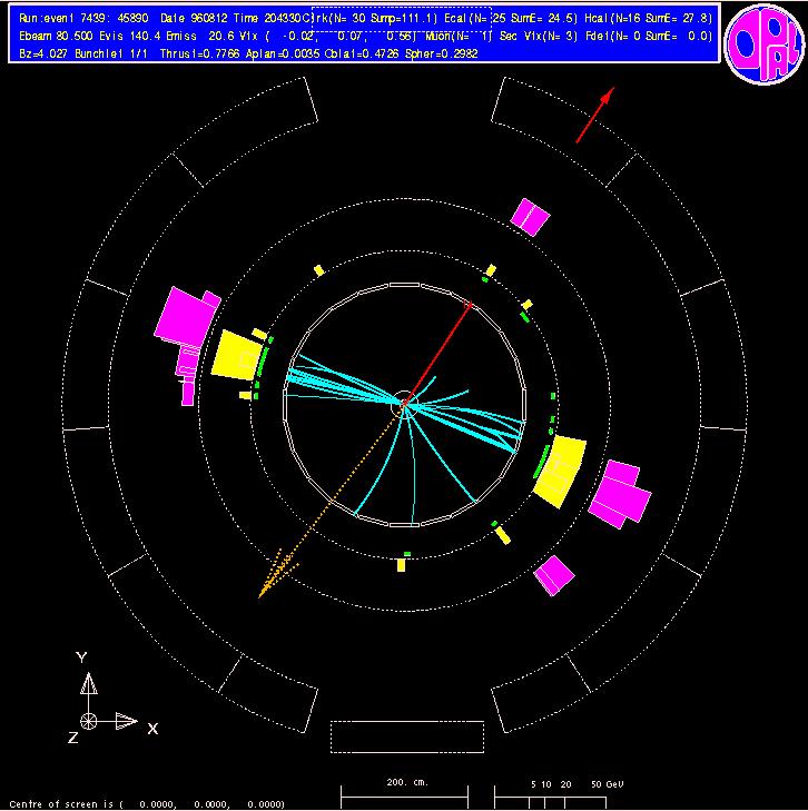 I decadimenti adronici dei W: La figura mostra A W+Wcandidate where one W decays to muon and neutrino, and the other to quarks (Jets): The 45± 3 GeV muon is highlighted in red, The two jets form a