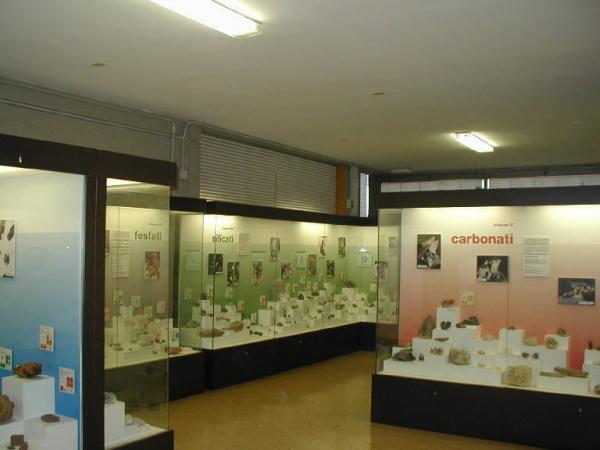 Museo civico di scienze naturali Brescia (BS) Link risorsa: http://www.lombardiabeniculturali.