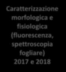 morfologica e fisiologica (fluorescenza,