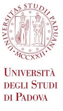 2 35122 Padova Premesso a) Che si rende opportuno un rapporto coordinato e programmato tra il mondo universitario e il mondo del lavoro allo scopo di consentire ad ambedue i sistemi di utilizzare le