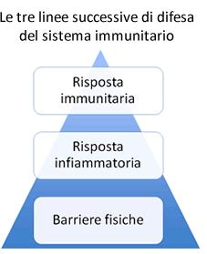 3 Immunità adattativa Centrale 2 Immunità