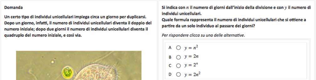 LIVELLO 5 In questa domanda la situazione descritta nello stimolo è complessa.