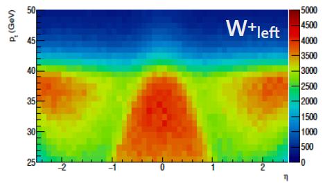Produzione e decadimento del W h W > 0 right h W < 0 left Y W + distribuzione di rapidità