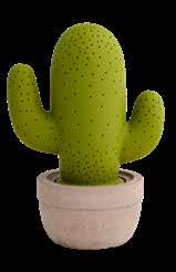 53384 cactus