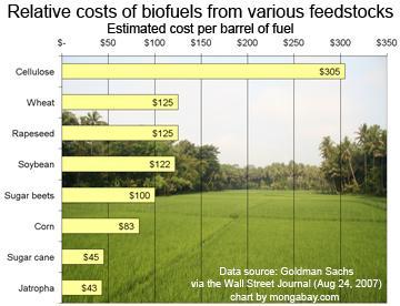 ...e criticità Le emissioni di gas serra dovute alla produzione di biocombustibili (coltivazione, trasformazione