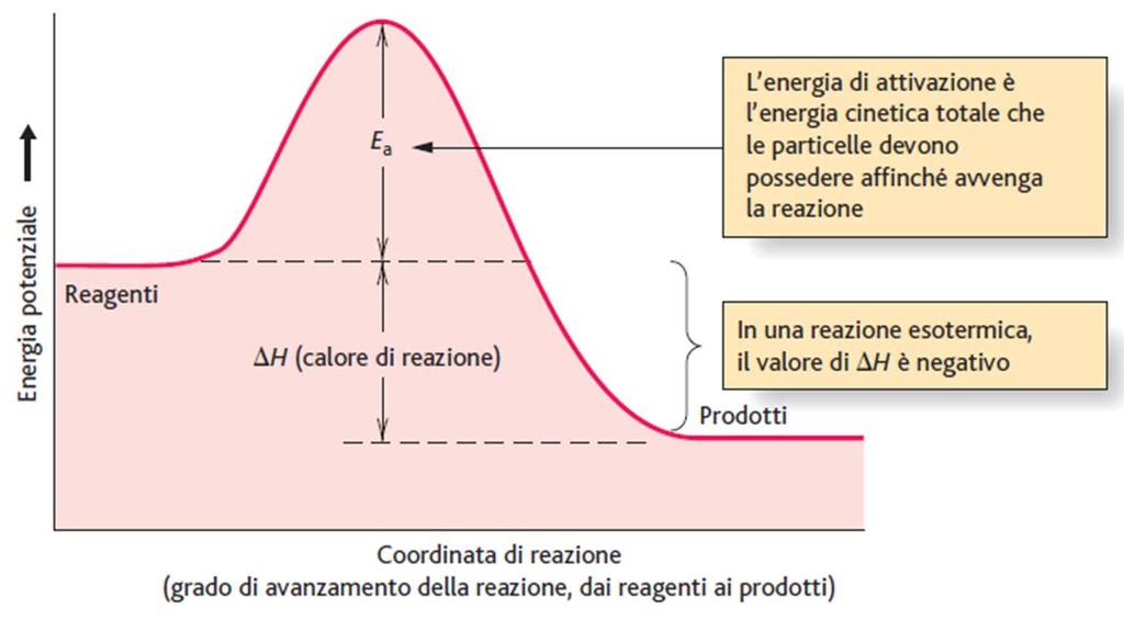 Relazione tra energia di attivazione e H di reazione