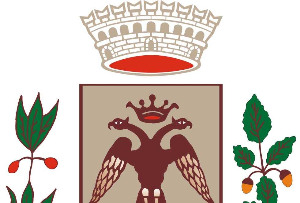 COMUNE DI POLINAGO (Provincia di Modena) REGOLAMENTO COMUNALE PER L
