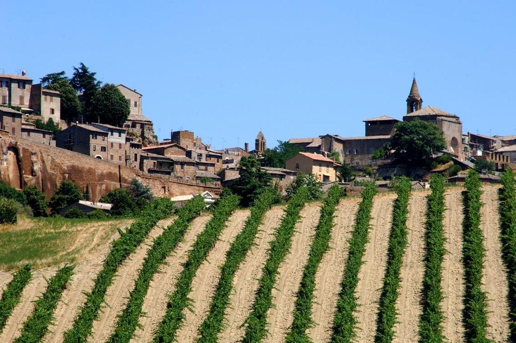UMBRIA ORVIETO D.O.C E la zona vitivinicola più antica dell Umbria; la produzione risale agli Etruschi i quali aveva scavato nel tufo una "moderna" cantina di vinificazione a 3 livelli.