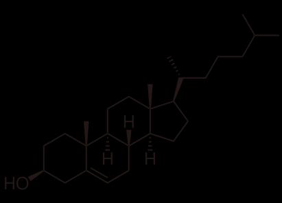 Inibitori del Trasporto del Colesterolo Identificato per caratterizzazione dei metaboliti biliari attivi di un azetidinone (SCH 48461) individuato per serendipity durante un programma