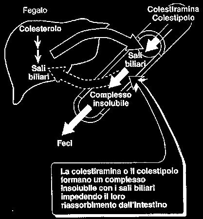 trattato Paziente iperlipidemico