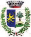 COMUNE DI SAN LEONARDO PROVINCIA DI UDINE VERBALE DI DELIBERAZIONE DEL CONSIGLIO COMUNALE COPIA ANNO 2018 N. 21 del Reg. Delibere OGGETTO: NOMINA REVISORE DEI CONTI PER IL PERIODO 30.07.2018 29.07.2021.