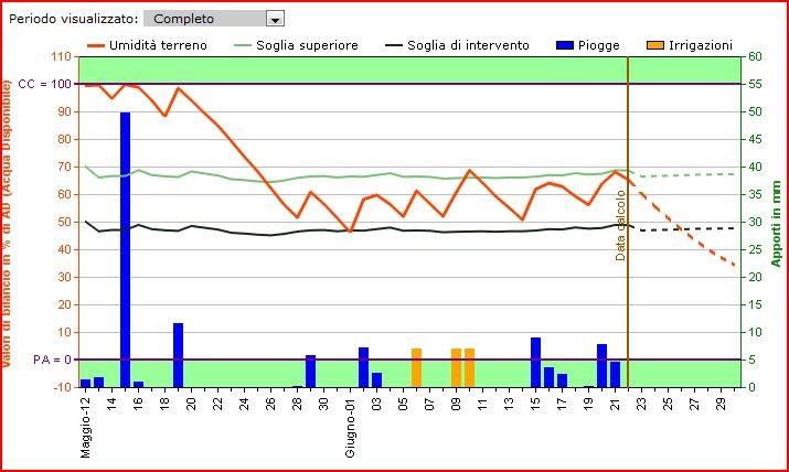 Trapianto: 12/05/2010 ciclo: 150 giorni Tipo Terreno: Franco Impianto Irr.