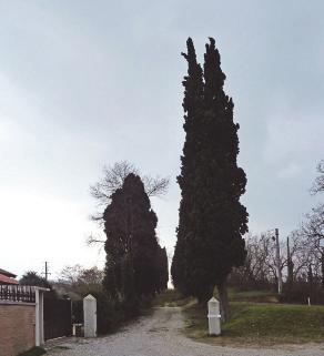 tutela della diversità biologica e del paesaggio basata sul collegamento di aree di interesse ambientale-paesistico in una rete continua; integrazione al modello di tutela focalizzato sulle aree