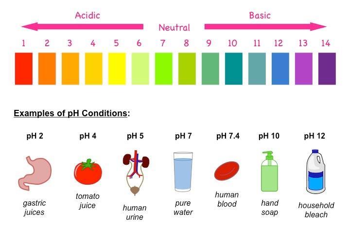 nei fluidi biologici, in che misura