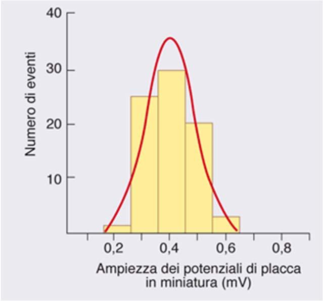 modificazioni spontanee del potenziale di membrana.