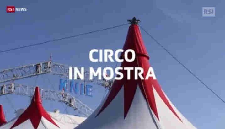 album=1073 Circo in mostra 15 Giugno 2019 Il Museo dei Trasporti di Lucerna celebra il centenario del circo nazionale con un allestimento.