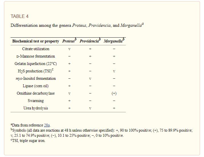 Table 4 shows the conventional biochemical tests necessary for the differentiation of Proteus, Providencia, and Morganella.