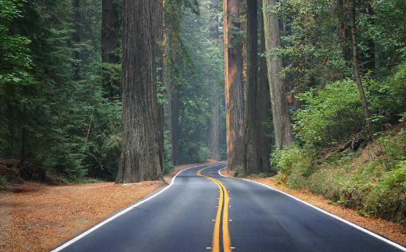 4 GIORNO 26 maggio 2018 SABATO Astoria Florence 300 km Una giornata lungo le coste del Pacifico ci attende, quindi niente indugi, saliamo in sella e prepariamoci a percorrere la bellissima Oregon