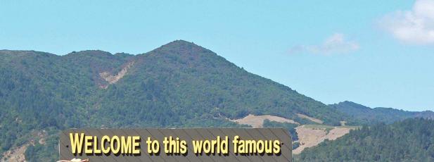 Dopo la nostra sosta nella Napa Valley riprendiamo il viaggio verso San Francisco, entreremo in città attraversando il Golden Gate, il famosissimo ponte arancione che collega la città alla contea di