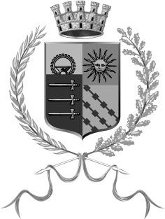 CITTÀ DI LUMEZZANE Provincia di Brescia Prot. n. 15345 Lumezzane, 19.03.
