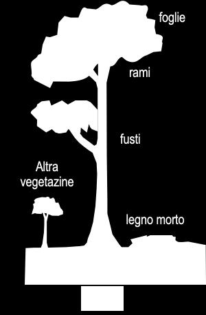 legno (secco) 0.