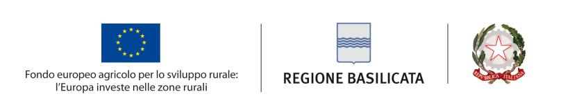 regionale Potenza, 17 luglio 2015 www.