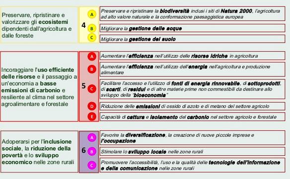 Le priorità della poli.