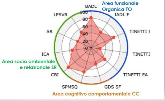 Gli strumenti metodologici Strumenti di misurazione delle necessità delle persone anziane e dei loro caregivers e