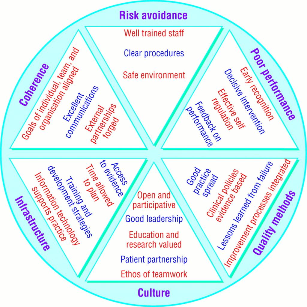 Integrating approaches of clinical governance.