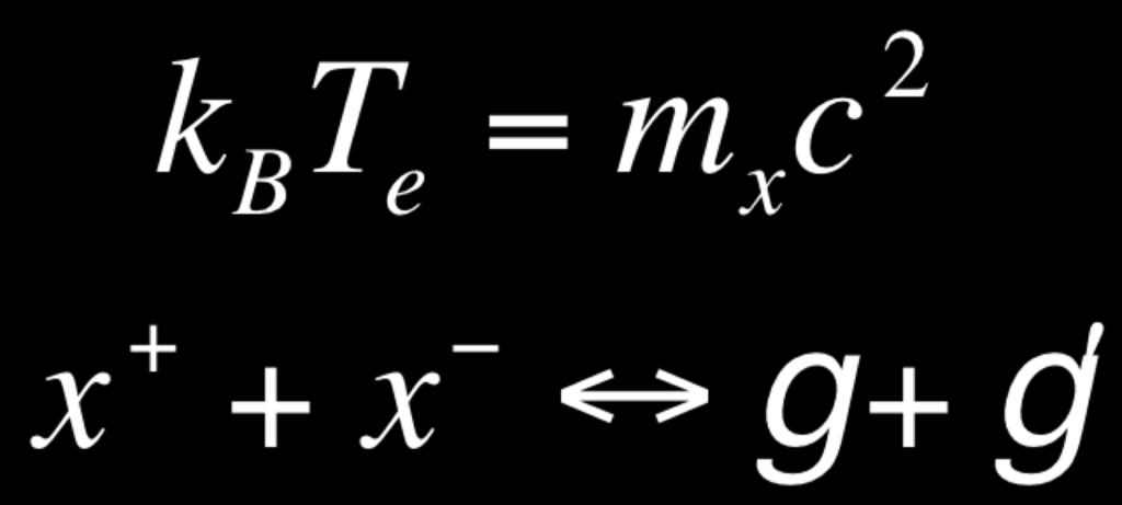 L Universo e composto da un gas di particelle non degeneri, ultrarelativistiche