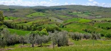 Fattoria La Maliosa - Arrivo alla Fattoria alle ore 11.00 circa per visita ai vigneti biodinamici, pic-nic nel vigneto, osservazione dallo Starsbox (punto panoramico). Pomeriggio libero in Maremma.