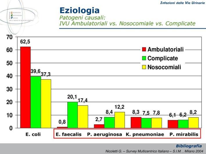 La maggior parte dei batteri patogeni che causano IVU derivano dal tratto intestinale.