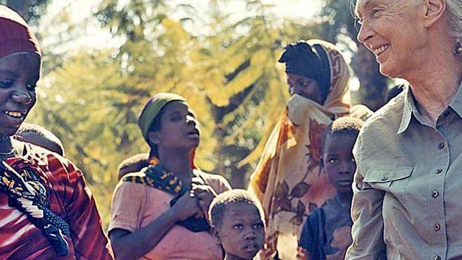 JANE GOODALL Era il 1960 quando Jane Goodall, all età di 26 anni, arrivò dall Inghilterra in quello che è ora conosciuto come Parco Nazionale di Gombe Stream, in Tanzania, e si avventurò mondo quasi