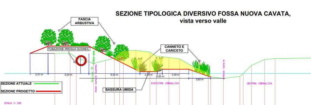 IN VERDE STATO