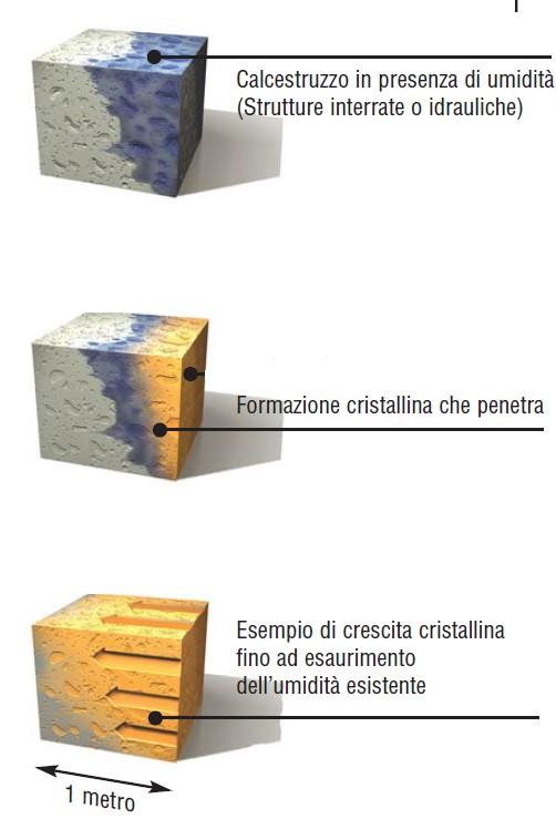 ADEGUAMENTO SISMICO DELLA VASCA DI ACCUMULO DEL CAMPO POZZI DI COGNENTO Oltre all intervento di adeguamento sismico, la vasca sarà oggetto anche di interventi di manutenzione.