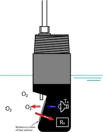 di ossigeno disciolto presente nel liquido.